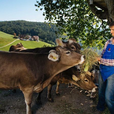 Mair Am Graben Farm * Chalets Terento Εξωτερικό φωτογραφία