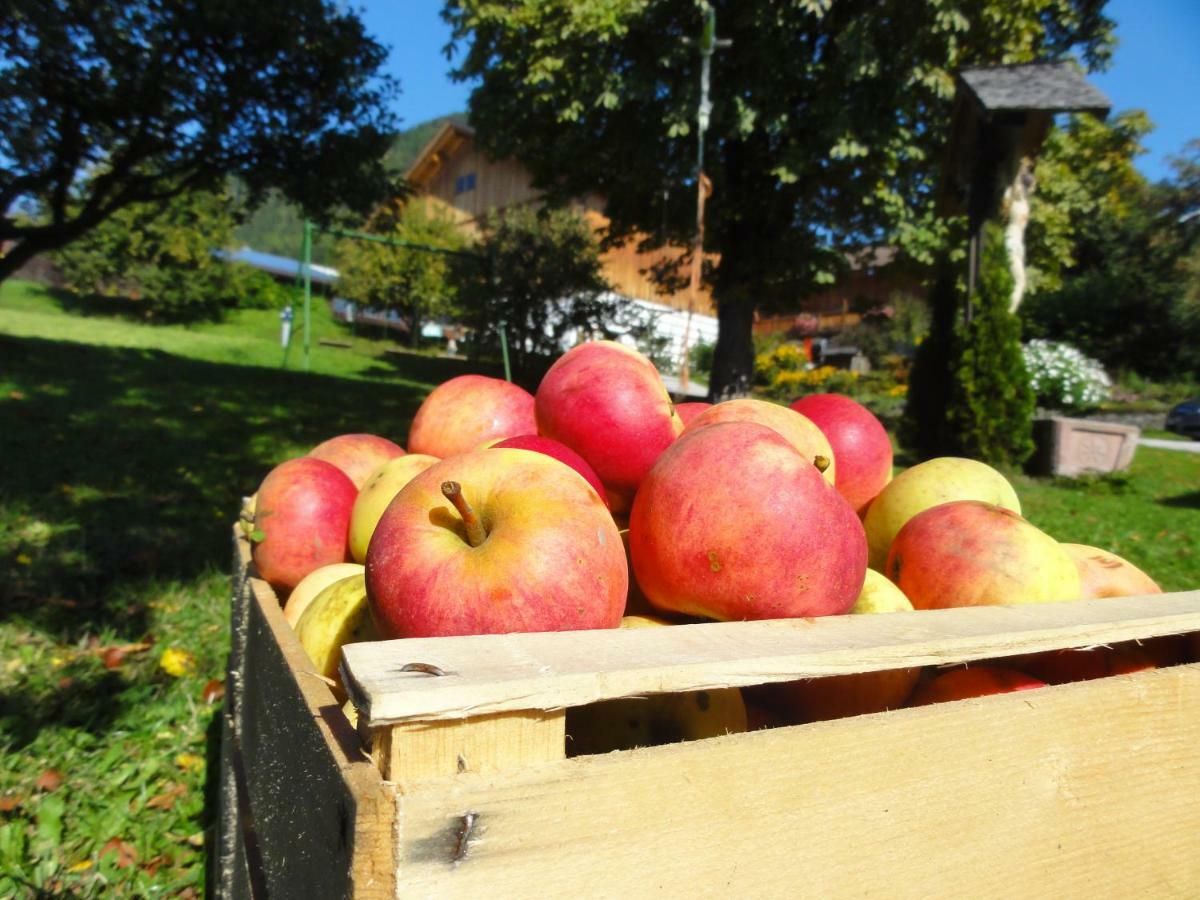 Mair Am Graben Farm * Chalets Terento Εξωτερικό φωτογραφία