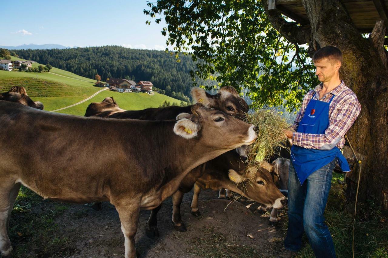 Mair Am Graben Farm * Chalets Terento Εξωτερικό φωτογραφία