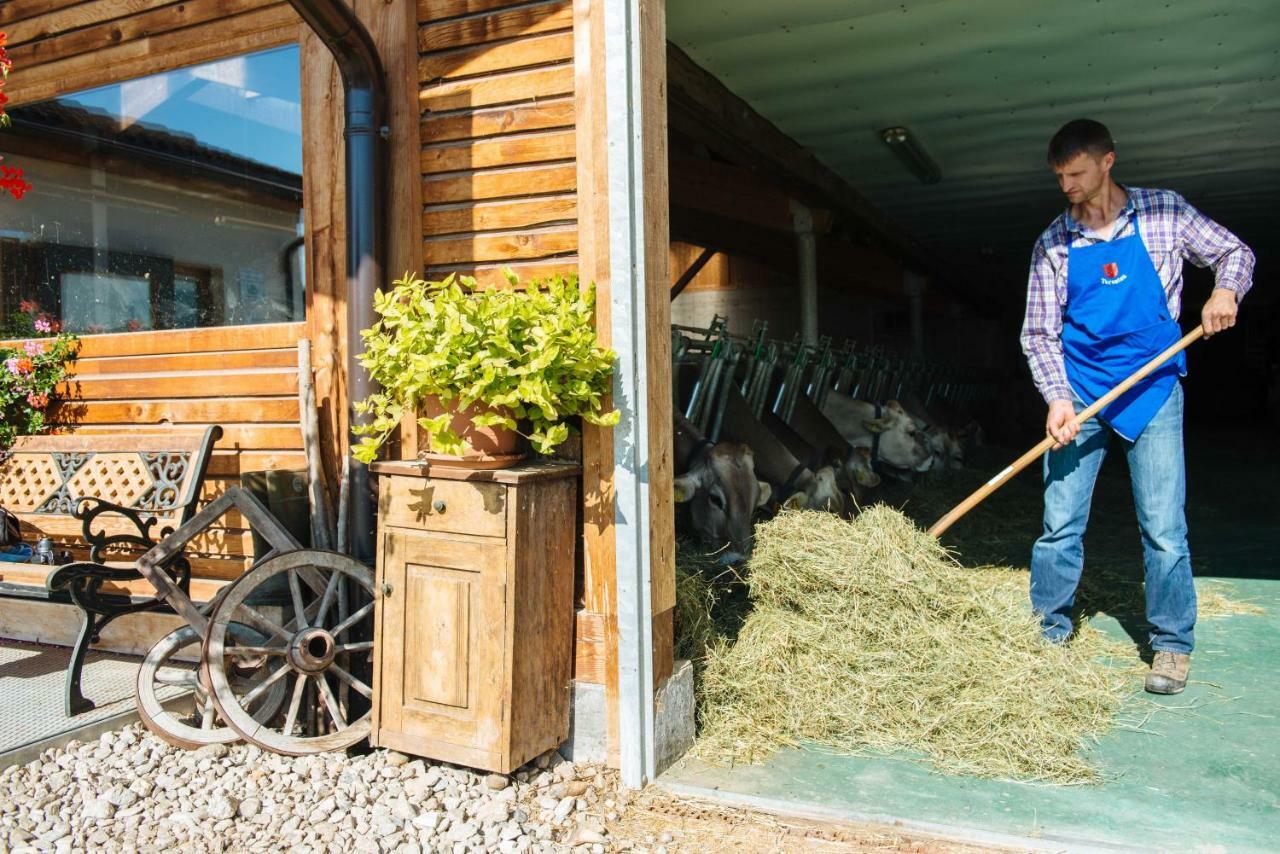 Mair Am Graben Farm * Chalets Terento Εξωτερικό φωτογραφία